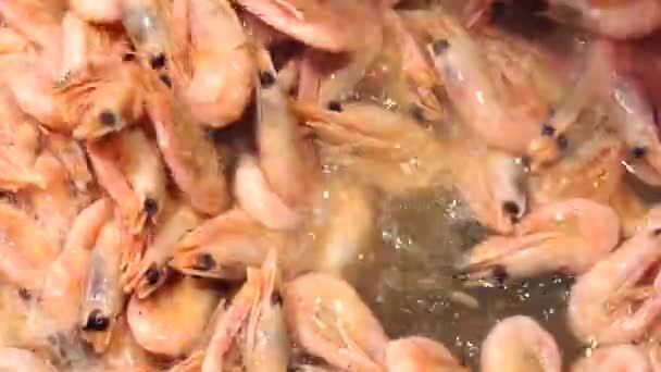 Cocinar mariscos. El proceso de plombirovaniya. verter el alcohol y prender fuego a los camarones en la sartén. Alimentos de mar — Vídeos de Stock