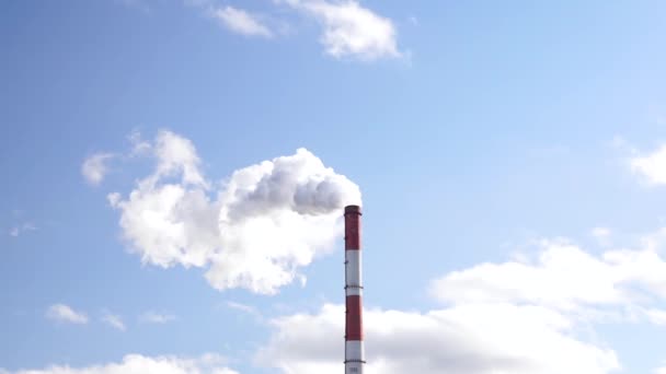 Rauch aus einem Schornstein vor blauem Himmel an einem strahlend sonnigen Tag. das Konzept der Umweltverschmutzung — Stockvideo