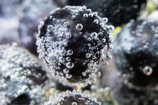 Black grapes close-up macro. fruit under water, selective focus — Stock Photo, Image