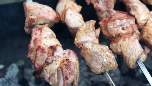 Cooking shish kebab on bbq event. Grilling meat bbq on smoking charcoal outdoor. Close up meat barbecue on charcoal grill. — Stock Video