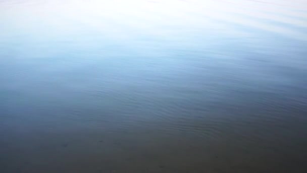 Блакитна річкова текстура води з водяними брижами і хвилями, абстрактна тема природи — стокове відео