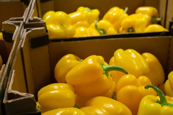 Fresh yellow pepper lying on the market counter. Yellow pepper , bright healthy vegetables and vegetatarian.