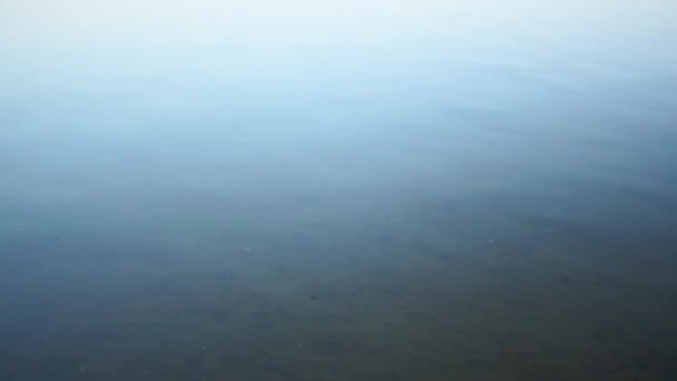 수면을 배경으로 한다. 추상적 인 배경. 대양 의물 — 비디오