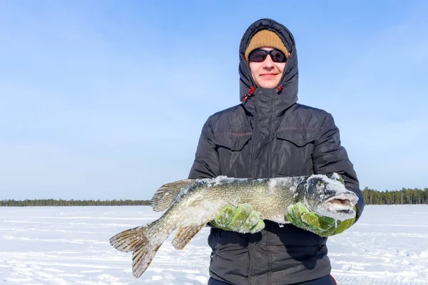 Hombre sostiene un gran lucio de pescado en invierno. Pesca de invierno pesca trofeo actividades al aire libre hobby —  Fotos de Stock