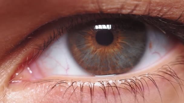 Grey brown eye of a young girl close-up macro. selective focus, extreme macro — Stock Video