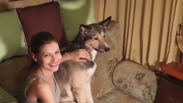 Una joven acariciando a un perro. enfoque selectivo. Mascotas, mascotas — Vídeos de Stock