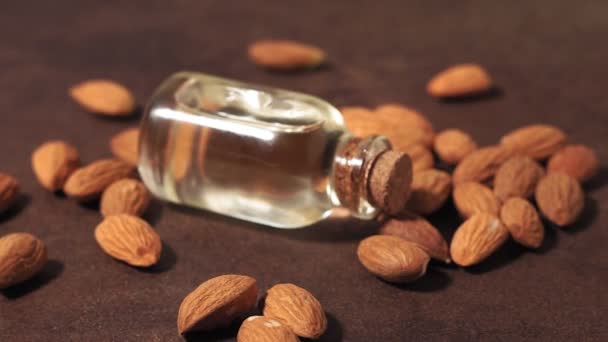 Almond oil close-up. selective focus. use of oil in cosmetology, dietetics, useful products. — 비디오