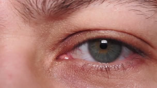 Oeil vert d'un jeune homme gros plan macro détail. fatigué, insomnie, les yeux du millénaire, foyer sélectif — Video