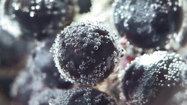 Siyah üzümler suyun altında kabarcıklar ile kaplıdır makro seçici odak — Stok video