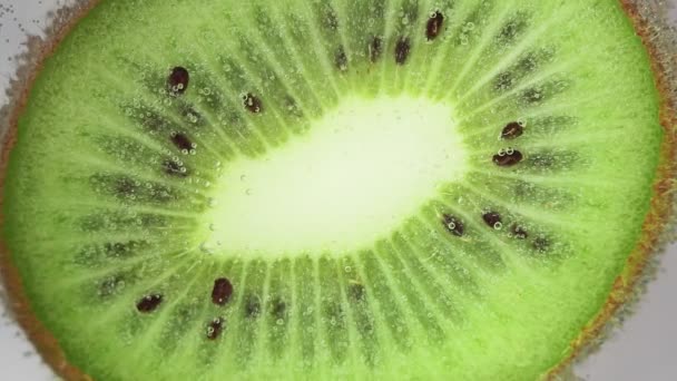 La fruta kiwi se acercan - hasta bajo el agua macro. fruta jugosa en el agua para la preparación del postre, jugo. enfoque selectivo — Vídeo de stock