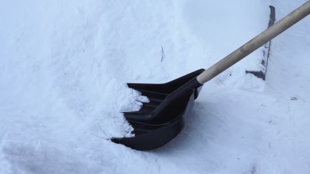 Limpia la nieve con una pala. mujer limpia la nieve en la nieve con una pala . — Vídeo de stock