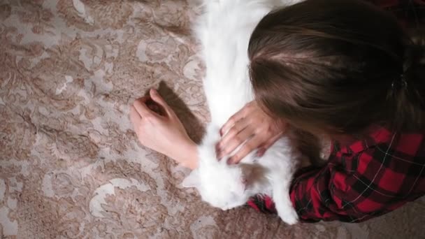 Jovem está deitado na cama, acariciando um gato branco. vídeo autêntico, o amor de um animal de estimação — Vídeo de Stock
