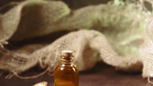 Óleo de macadâmia cosmético e medicinal, sobre fundo castanho, close-up. óleo de mulheres, cosmetology, tratamento. Soros naturais . — Vídeo de Stock