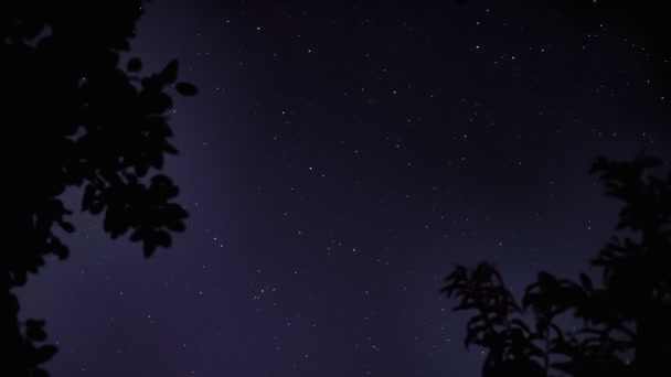 Ciel étoilé étoiles volantes dans le ciel noir laps de temps 4 K — Video