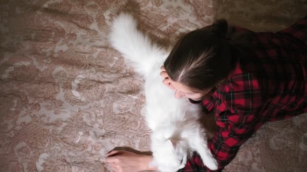 La joven está acostada en la cama acariciando a un gato blanco. auténtico vídeo, el amor de una mascota — Vídeos de Stock