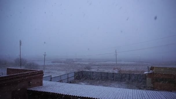Heavy snow storm winter scene background. Snowy weather snowing season. Winter Siberia, heavy snowfall — стокове відео