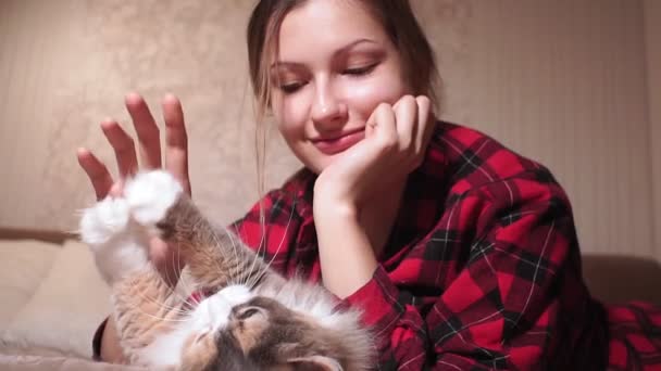 Young girl playing with a cat lying on the couch. selective focus — ストック動画