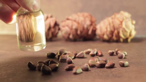 Oil from pine nuts. the concept of healthy food. Use of oil for cosmetic purposes — Stock Video