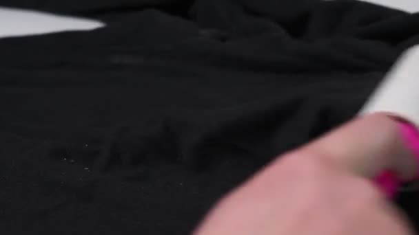 Reiniging met zwarte kleding kleverige pluisroller borstel. Huisdieren haar op kleding close-up selectieve focus — Stockvideo