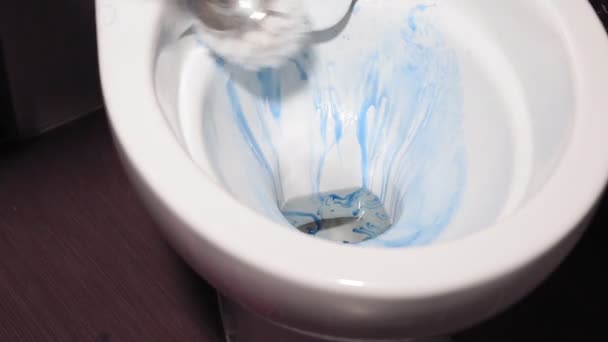 Limpia el inodoro, aseo higiene — Vídeo de stock