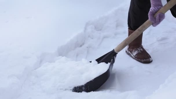 Snow removal with a shovel. a woman cleans a path with a shovel from the fallen snow — Stock Video