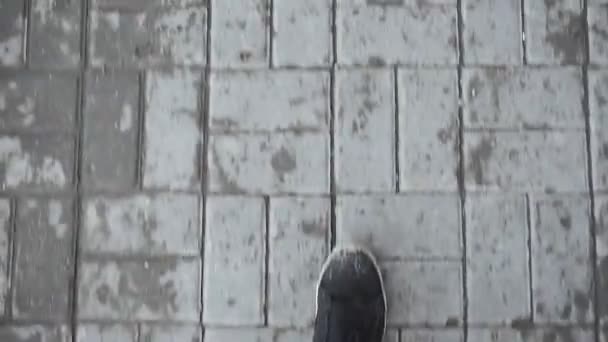 自信男足道路を歩く男足公園を歩く男の足. — ストック動画