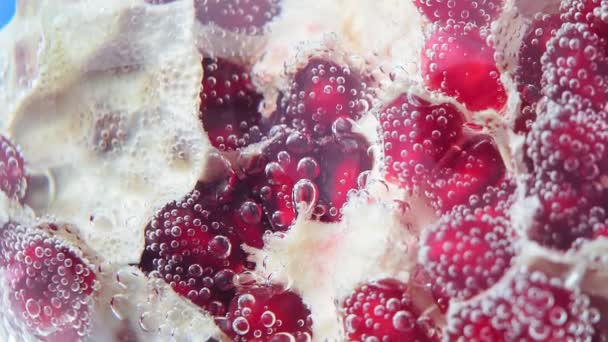 Φρέσκοι σπόροι ροδιού Punica Granatum αποφλοιωμένοι σπόροι φρούτων. ζουμερά φρούτα κάτω από νερό — Αρχείο Βίντεο