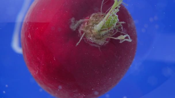 Rabanete vermelho na comida. água macro shot, refrescante bebida, bolhas — Vídeo de Stock