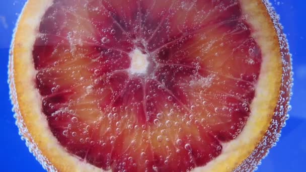 Krvavě oranžový koktejl. selektivní zaměření. šťavnaté zralé ovoce ve vodě. zavřít — Stock video