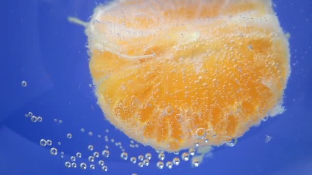 Primer plano mandarina fruta, fondo en agua, bajo el agua. fondo, textura. enfoque selectivo — Vídeo de stock