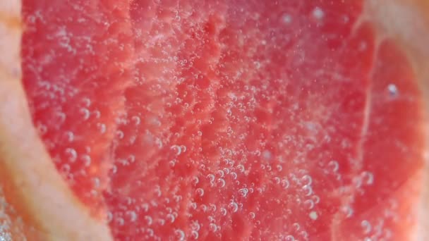 Грейпфрут в макро. Свежие цитрусовые в воде . — стоковое видео