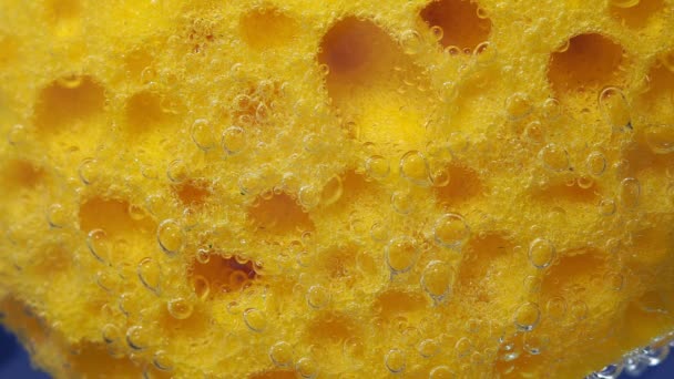 Surface of a foam sponge for washing dishes. Porous structure. Cleaning and hygiene. To close. Macro. close-up underwater — Stock Video