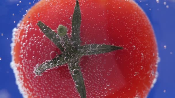 Tomate en agua con burbujas. verduras jugosas primer plano, enfoque macro selectivo. Concepto de alimentación limpia — Vídeo de stock