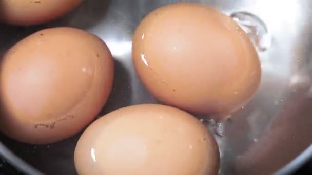 Boiled eggs close up in boiling water — Wideo stockowe