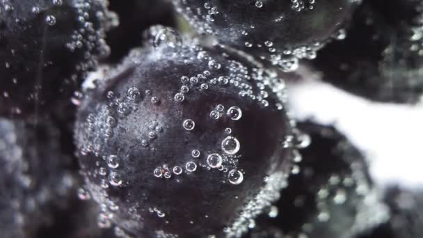 Černé ovocné hrozny zblízka ve vodě. bubliny pod vodou. použití ovoce pro džus — Stock video