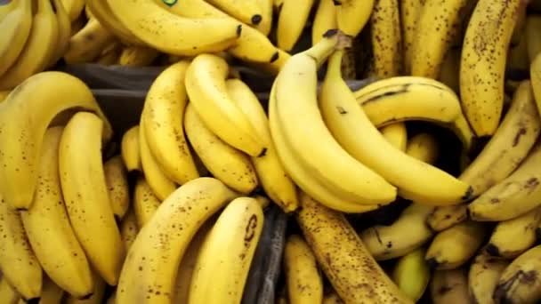 Бананы на столе свежие фрукты — стоковое видео