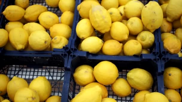 Limones en el mostrador de la tienda la compra de fruta fresca — Vídeos de Stock