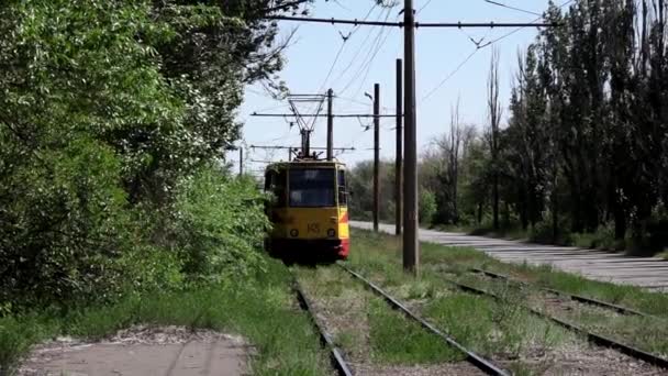 Old tram rides on rails in summer — Stock video