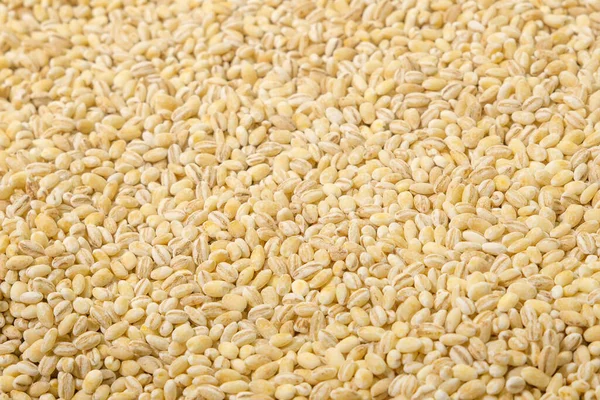 Dry Pearl Barley Grain Seed Close Textured Background Top View — Stock Photo, Image