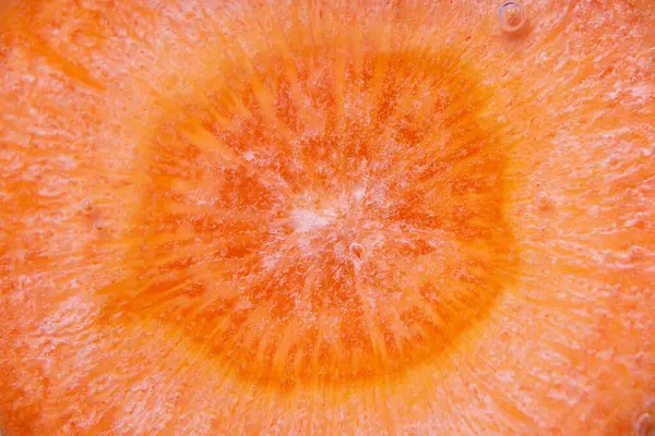 Sinaasappel Wortelschijfje Macro Fotografie Van Dichtbij Groenten Onder Het Water — Stockfoto