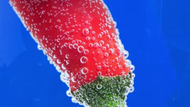 Primer plano de pimiento rojo de pepperoni, sumergido en agua y rodeado de burbujas de aire, para cocinar. enfoque selectivo, chile — Vídeos de Stock