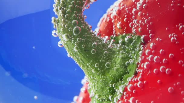 Sweet red bell pepper close- up macro in water under water. juicy fresh ripe vegetable — Stock Video