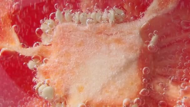 Kern van sappige rode paprika ruwe close-up onder water in het water. Rijp verse groenten, selectieve focus — Stockvideo