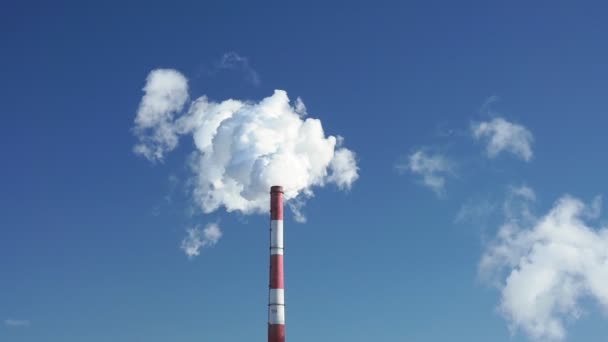 Fumaça industrial de uma chaminé no céu azul. espaço para texto, espaço de cópia — Vídeo de Stock