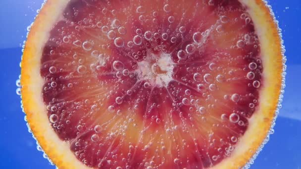 피 - 오렌지 칵테일. 선택적 집중. 물에 잘 익은 과일. 가까이 서 — 비디오