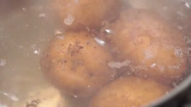 在皮肤上煮土豆。煮熟的土豆，用开水煮熟 — 图库视频影像