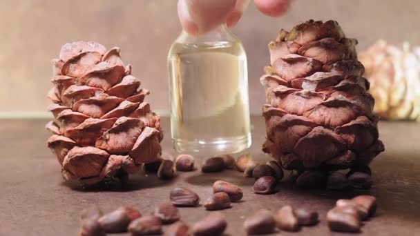 Naturalne serum. Olej kosmetyczny i leczniczy, orzechy sosnowe na brązowym tle. — Wideo stockowe