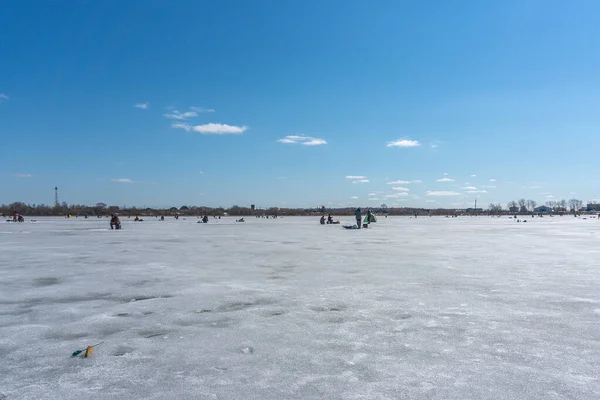 Winter sports. Crowd of fishermen catches on winter lake