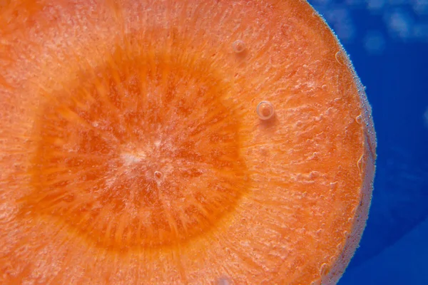 carrot vegetable close-up, background in water, under water. background, texture