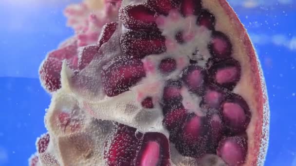 Bagas de romã, fruto close-up em macro água. Punica granatum — Vídeo de Stock